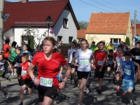 Hohenbocka - Start 4,3 km